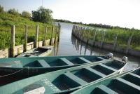 boats 3